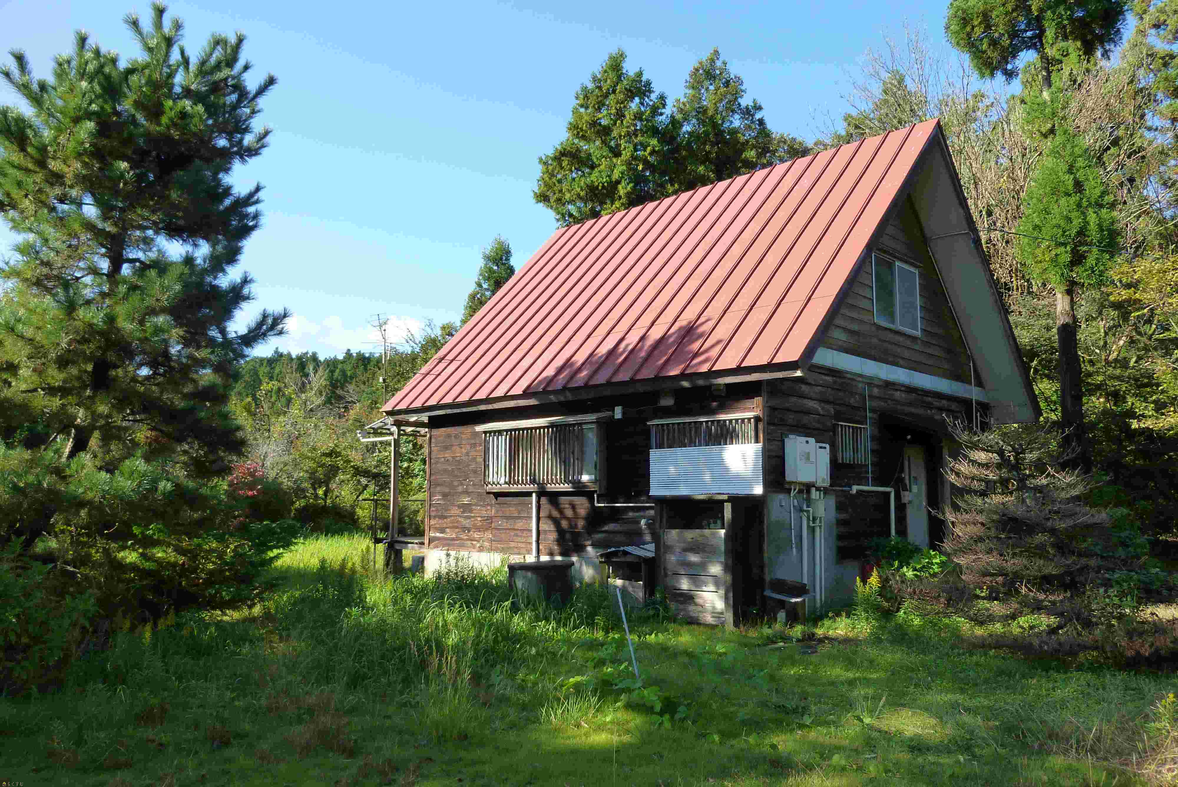 detached 新道字一本松