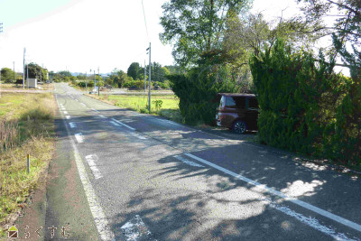 detached 新道字一本松