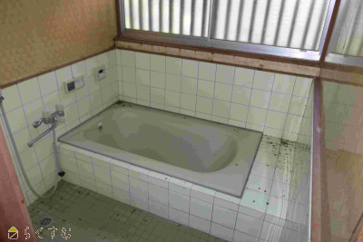 detached 新道字一本松